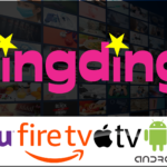 Myrtle Beach Based Zeus Digital Marketing Launches wingding™ TV